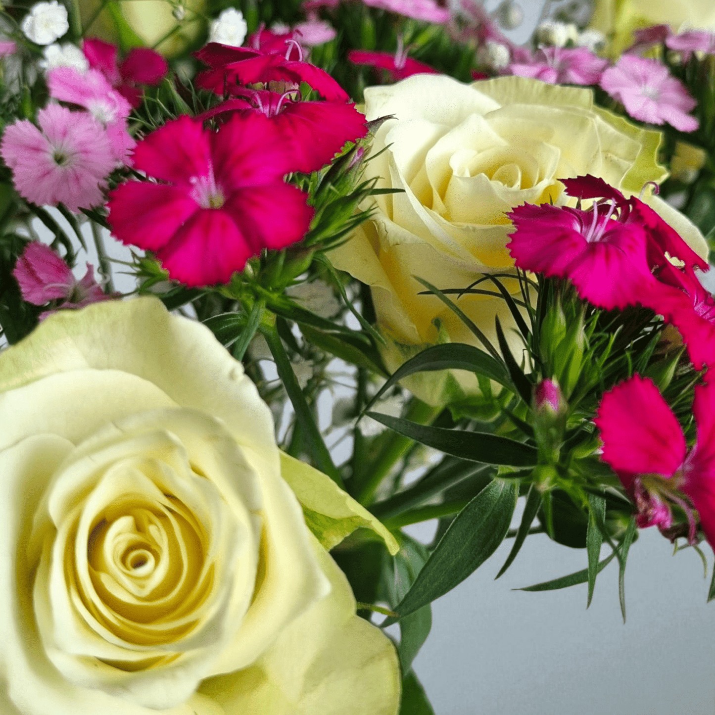 Seasonal bouquet + bubbles and chocolates (Oslo & surrounding)