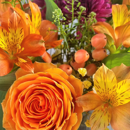 Høstbukett (store byer)