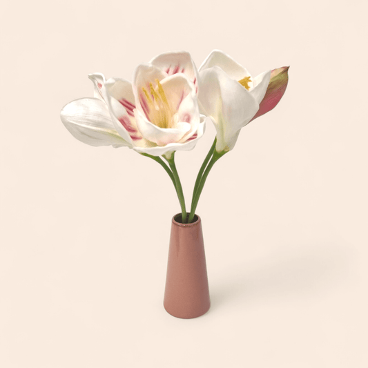 'Super touch' blomster - Amaryllis