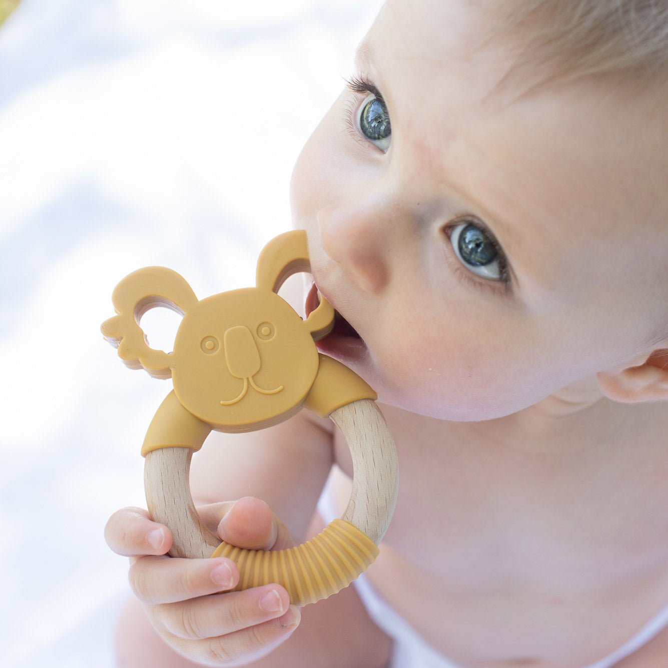 Teether toy koala