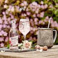 Limonade med hyldeblomst og rose