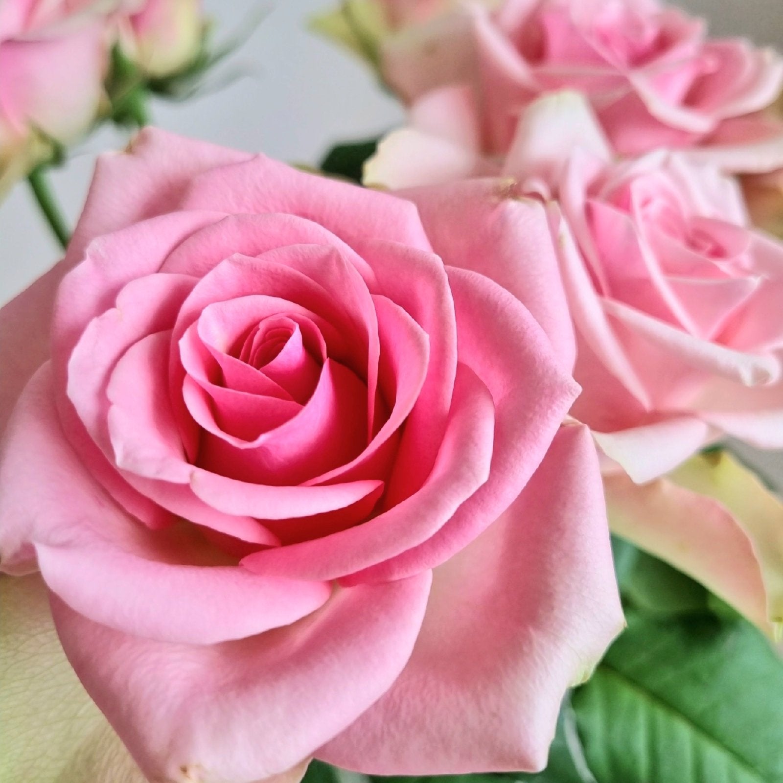 Rosebukett (Oslo & omegn)
