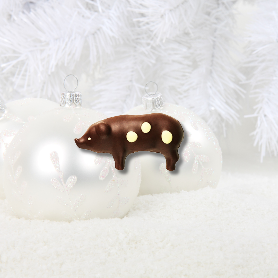 Summerbird organic sjokoladepakke