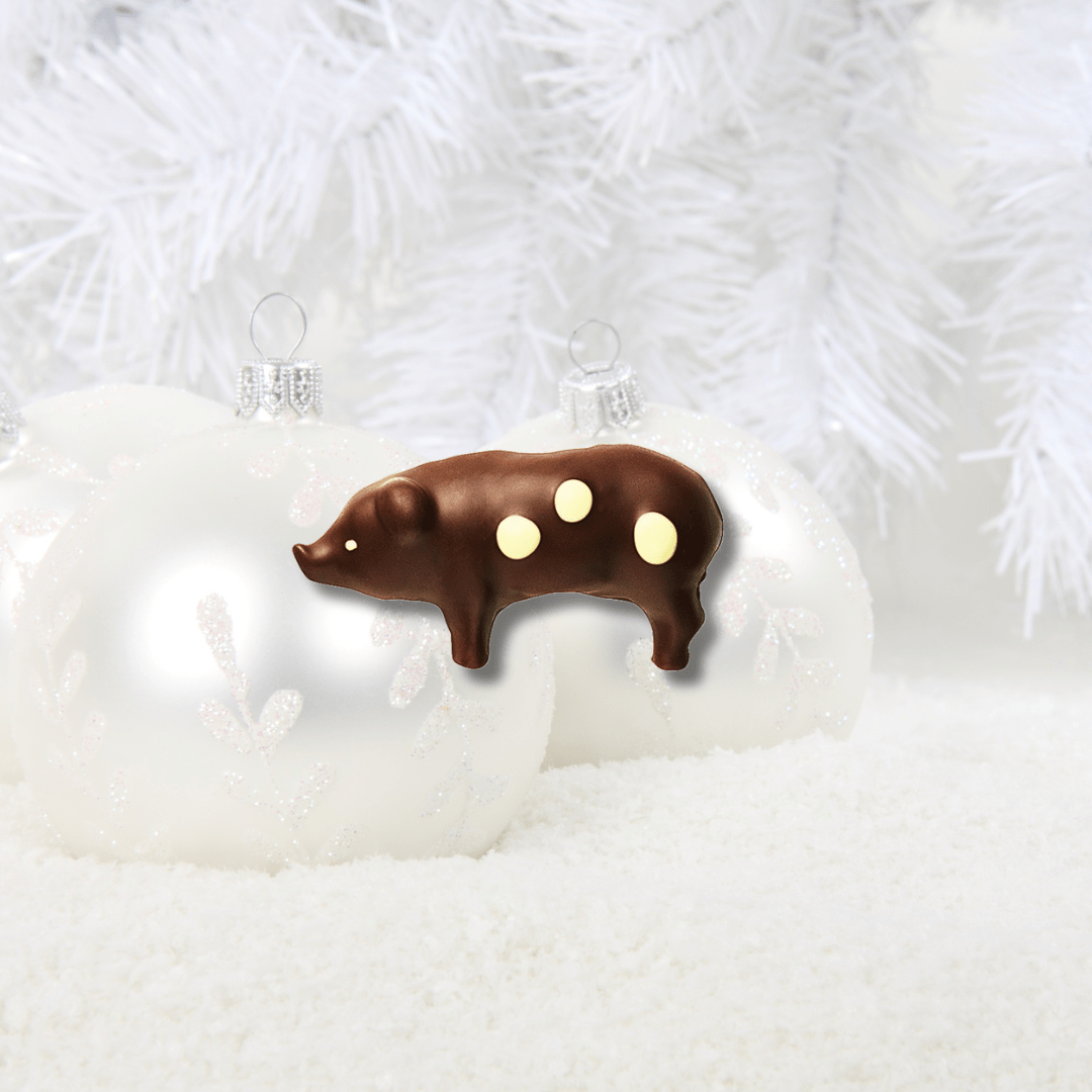 Summerbird organic sjokoladepakke